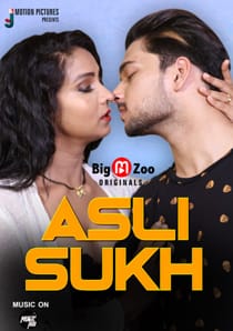 Asli Sukh Sautela Baap (2021) Big Movie Zoo Complete Hindi Web Series