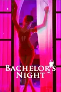 Bachelors Night (2026)