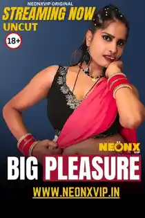 Big Pleasure (2025) Hindi Short Film