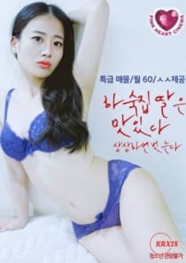 Delicious Boarding House Daughter: She Undresses if You Imagine It (2024)