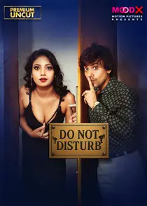 Do Not Disturb (2025) Hindi Web Series