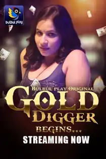Gold Digger (2025) Hindi Web Series