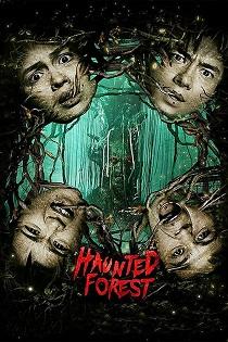 Haunted Forest (2017)