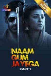 Naam Gum Jayega (2024) Part 1 Hindi Web Series