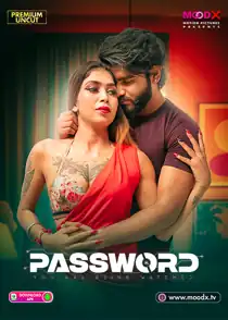 Password (2025) Hindi Web Series