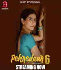 Pehredaar (2024) S06 Hindi Web Series