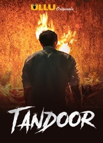 Tandoor (2021) Complete Hindi Web Series