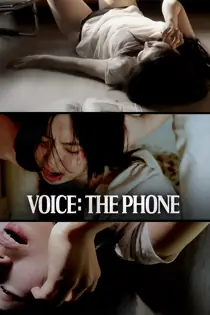 Voice the Phone (2013)